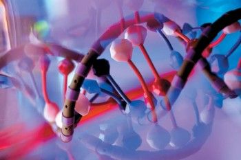 В Европе впервые рекомендован метод генотерапии