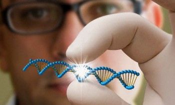 Британия первой в истории может узаконить пересадку митохондриальной ДНК