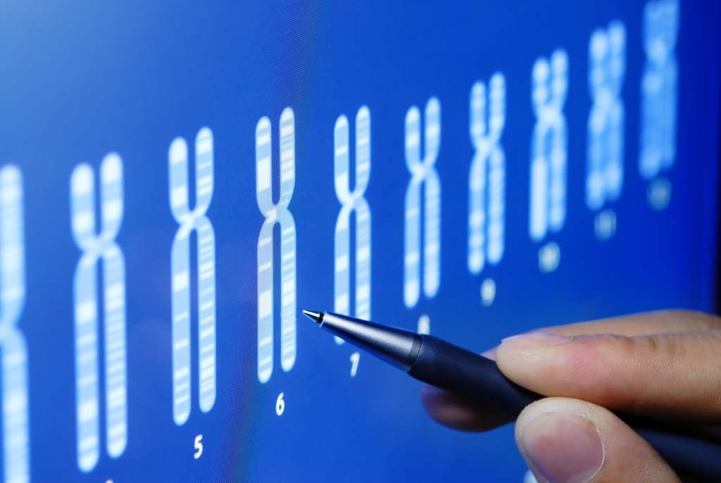 Cure Duchenne поддерживает исследования мутаций дупликации экзонов при МДД