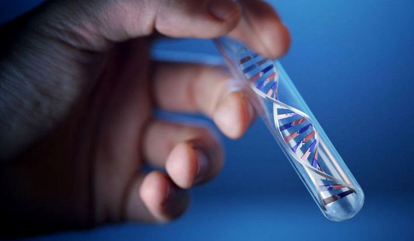 Благодаря генетике, медицина скоро станет персональной