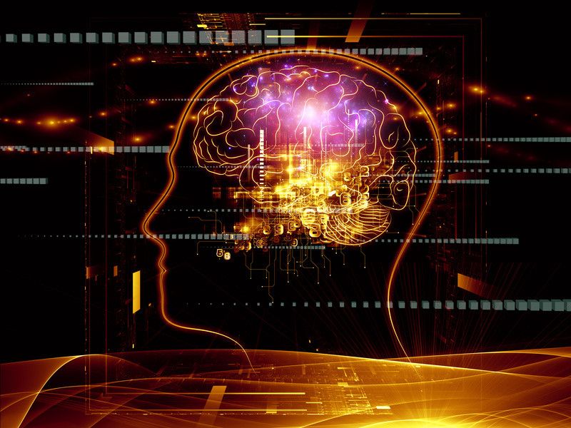 В США создали прототип нейрокомпьютера на основе человеческого мозга