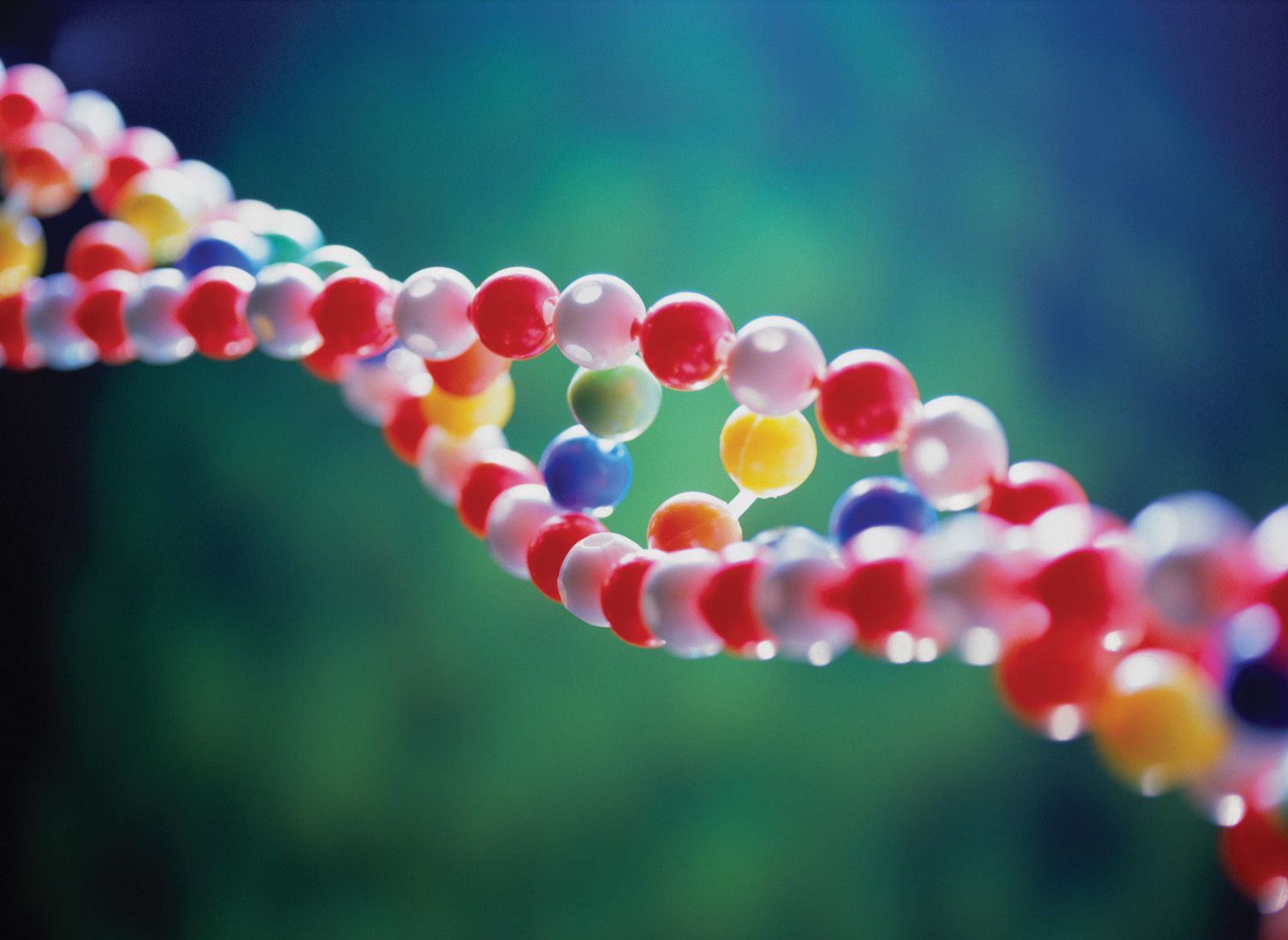 Ферменты помогли генетикам изменить ДНК