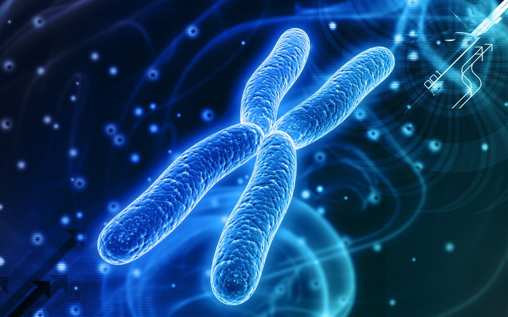 Российские исследователи создали искусственную хромосому