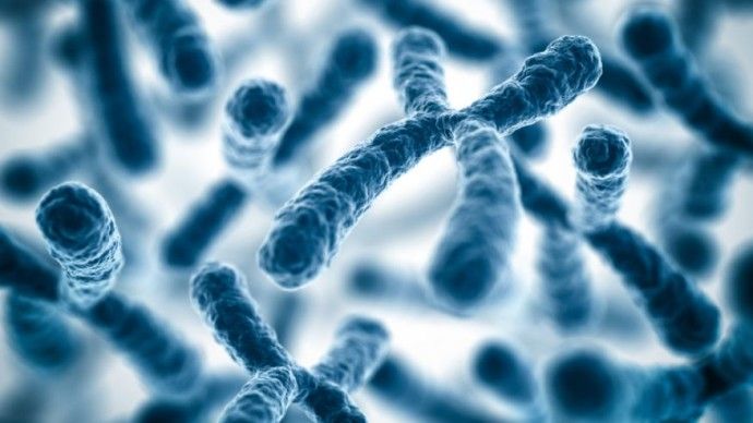 Chromosomes-DNA-genes-istock