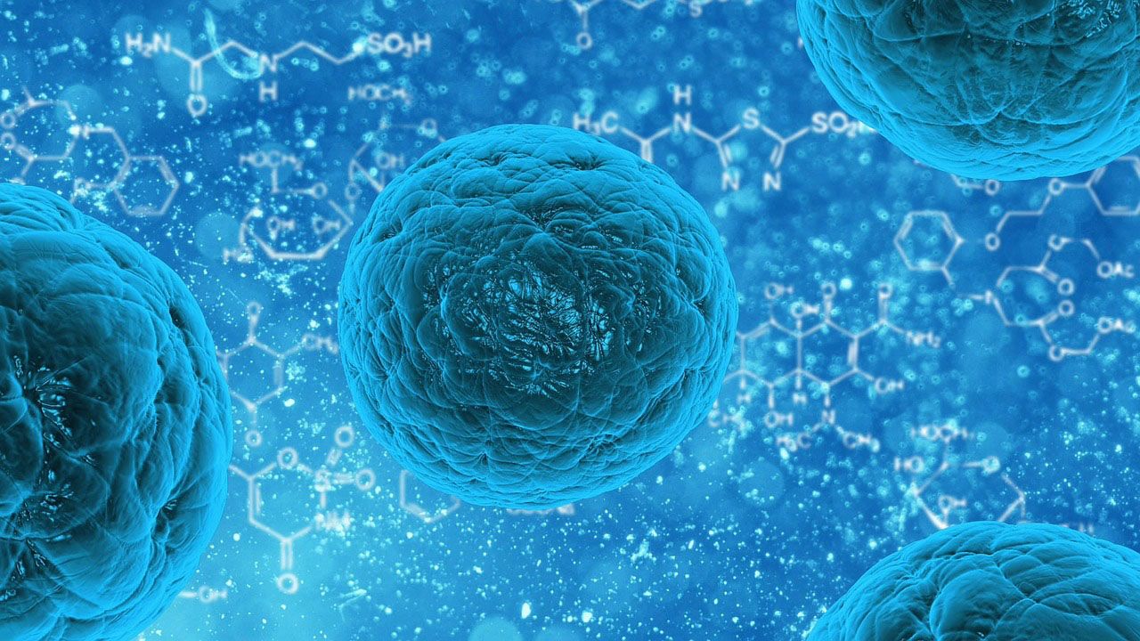 Разработана технология для усовершенствования терапии стволовыми клетками