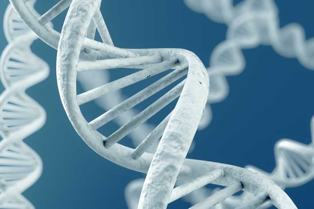 В геноме человека обнаружены тысячи новых генетических вариантов