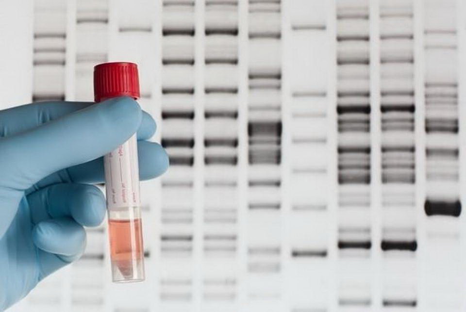 Маленький фермент поможет внедрить метод генного редактирования CRISPR в клинику