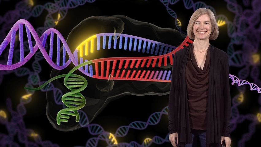 Дженнифер Доудна: Теперь мы умеем редактировать ДНК. Но давайте проявим благоразумие