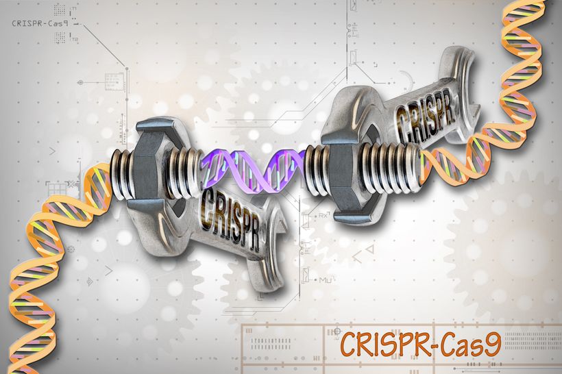 Редактирование генов с помощью CRISPR-Cas9