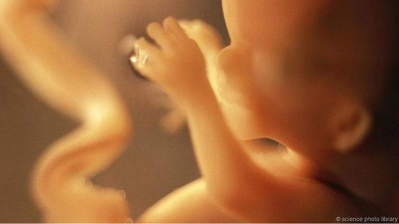 Генетическая модификация эмбрионов человека может помочь значительно улучшить процедуру искусственного оплодотворения 