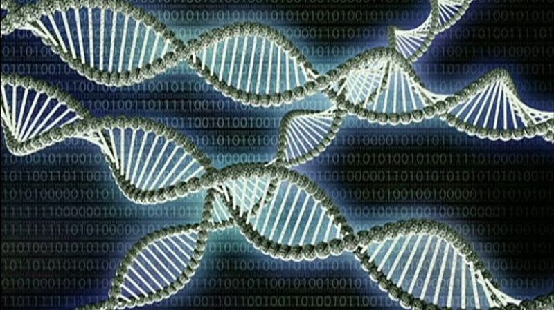  Так выглядит молекула ДНК. Ученые считают, что в ближайшее время они смогут вносить в нее изменения с помощью технологии CRISPR 