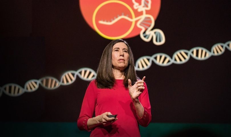 Эллен Йоргенсен: Всё, что вам нужно знать о CRISPR