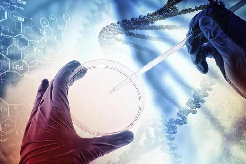 Специалистам удалось исправить опасную «поломку» в геноме человеческого эмбриона