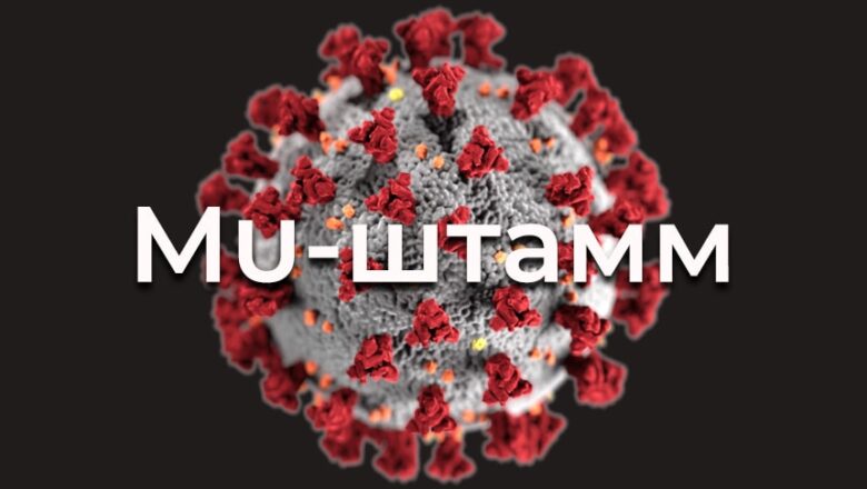 Что известно про новый Mu-штамм коронавируса, к которому присматриваются в ВОЗ