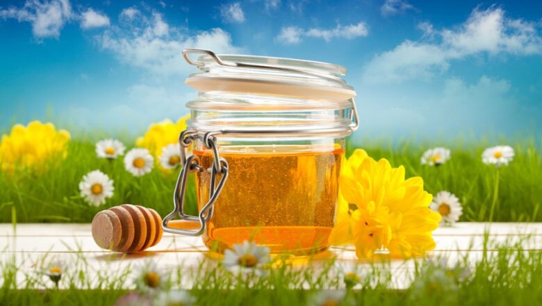Мёд может навредить здоровью! Рассказываем, как употреблять этот продукт безопасно